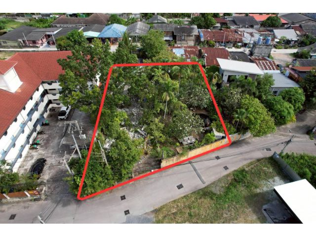 ขายที่ดินพัทยากลาง หนองปรือ 192 ตรว. ซอยสุขุมวิท69 ใกล้เซ็นทรัลหาดจอมเทียน-3กม. อ.บางละมุง ชลบุรี