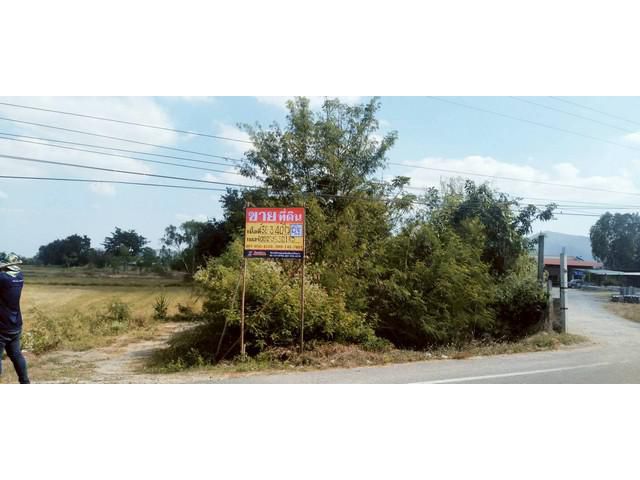 ขายที่ดินเปล่า แปลงใหญ่ 36-3-40 ไร่  หนองยาว  ลาดยาว  นครสวรรค์