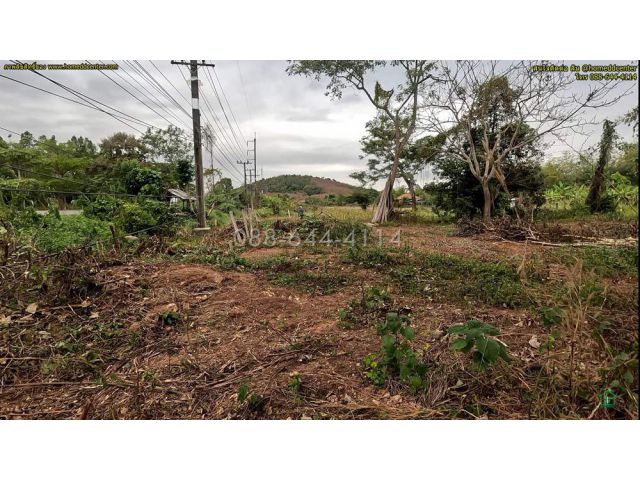 ขายที่ดิน เชียงราย ถนนพหลโยธิน (ทล1) อ.พาน จ.เชียงราย 3-0-22 ไร่ ใกล้ ม.เทคโนฯ ราชมงคล ล้านนา วัดร่องขุ่น