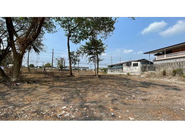 L1341 ขายที่ดินสวยทำเลดี 2 ไร่ ดำเนินสะดวก ราชบุรี