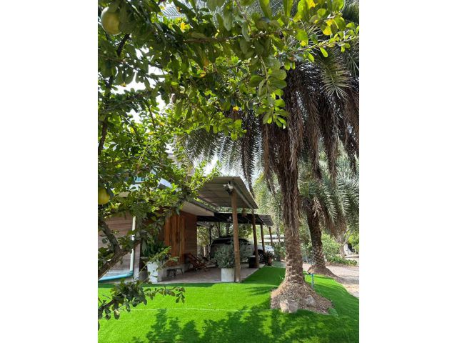 ขายถูก!! เจ้าของขายเองที่ดิน2ไร่2งาน5ตรว. พร้อมบ้านสวนผลไม้ วิวภูเขา ใกล้แหล่งท่องเที่ยว