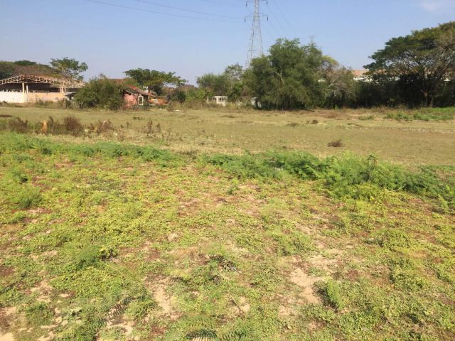 L1342 ขายที่ดินสวยทำเลดี 289 ตรว เมืองสกลนคร