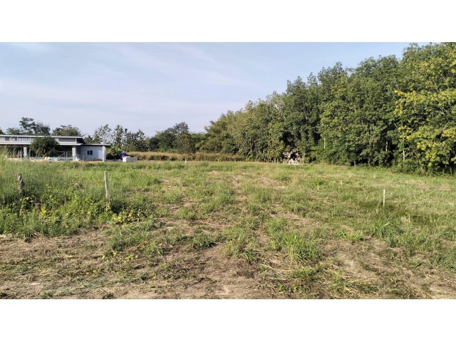 ที่ดินโฉนดพร้อมโอนที่สวยสำหรับสร้างบ้าน 245 ตรว.