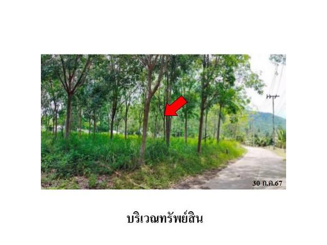 ขายที่ดินว่างเปล่า ตำบล หน้าเมือง อำเภอ เกาะสมุย สุราษฎร์ธานี