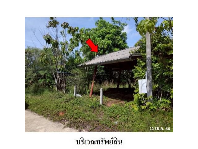 ขายโรงงาน ถ.ท่าโรงช้าง ตำบล มะขามเตี้ย อ.เมือง จ.สุราษฎร์ธานี