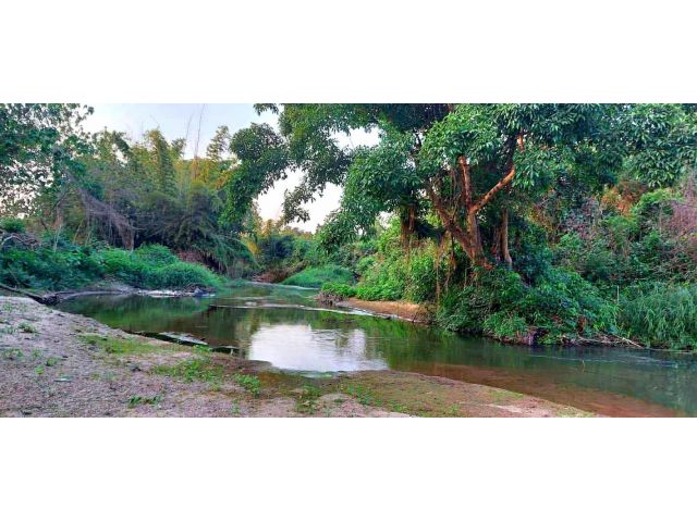 ขายที่ดินโฉนดครุฑแดง ติดลำธารน้ำ อ.บ้านคา จ.ราชบุรี