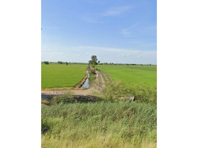 ขายที่ดิน240ไร่ิไร่ละ220000-ติดถนน+คลองใหญ่ อ.บางปลาม้า จ.สุพรรฯเหมาะทำสวนมะพร้าว/สวนปาล์ม/ฟาร์มเลี้ยงสัตว์/กุ้งปลาไก่