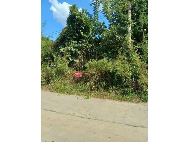 ขายที่ดิน บ้านทุ่งเจริญ ตำบลเกาะคา อำเภอเกาะคา จังหวัดลำปาง 2ไร่ 67 ตรว และ 5ไร่ 132 ตรว