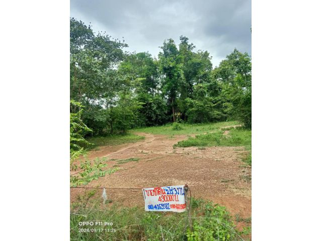 ขายที่ดินอำเภอห้างฉัตร จังหวัดลำปาง 2ไร่2งาน 97 ตรว.