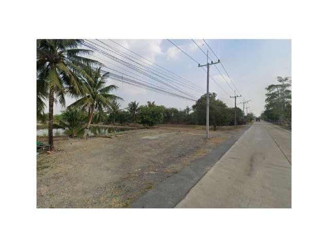 ขายที่ดิน 49 ไร่ คลอง 9 ต.บึงบา อ.หนองเสือ จ.ปทุมธานี