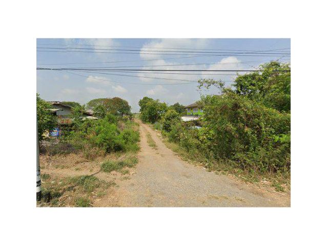 ขายที่ดิน 7 ไร่ คลอง13 ต.หนองสามวัง อ.หนองเสือ จ.ปทุมธานี