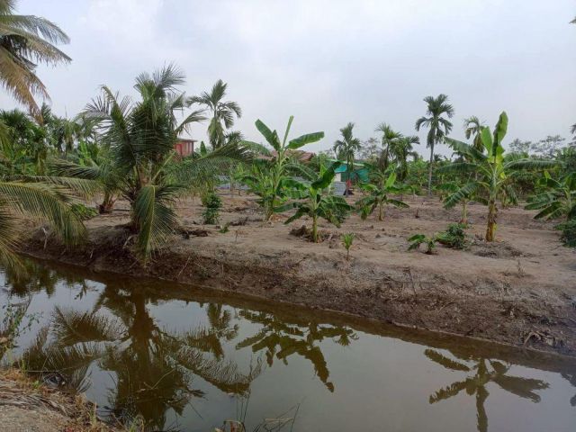 ขายที่ดินเปล่า 4 ไร่ 27 ตร.วา ติดคลอง บรรยากาศดี เหมาะสร้างบ้านสวน ทำเกษตร ต.บางไผ่ อ.เมือง จ.ฉะเชิงเทรา