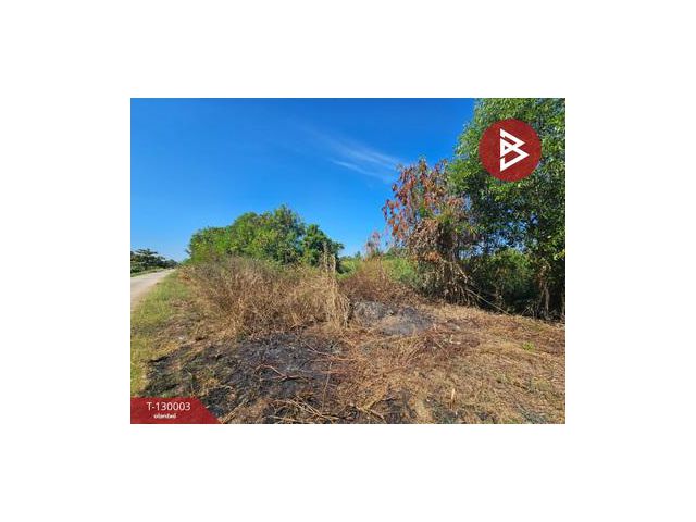 ขายที่ดินแปลงใหญ่ เนื้อที่ 148 ไร่ 2 งาน 10.3 ตร.วา บ้านโพธิ์ ฉะเชิงเทรา