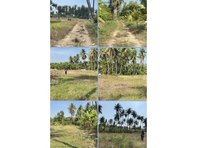 ที่ดินเปล่าใกล้ตลาด