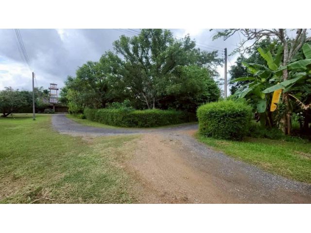 ขายที่ดินตำบลหนองควายหางดงห่างไนท์ซาฟารี 1.4กม