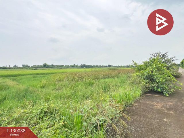 ขายด่วนที่ดิน เนื้อที่ 100 ตารางวา ลำลูกกา ปทุมธานี