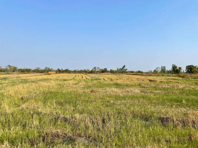 L1343 ขายที่ดินผังสีม่วง 30 ไร่ เพชรบุรี