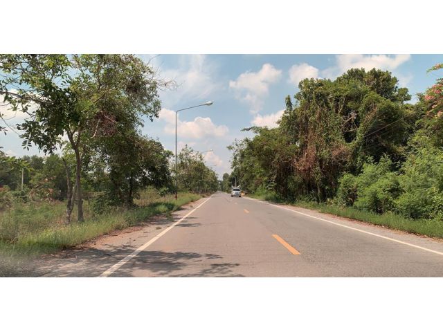 ขายที่ดิน 89 ไร่ ติดถนนเลียบคลองสิบเอ็ด อ.หนองเสือ จ.ปทุมธานี