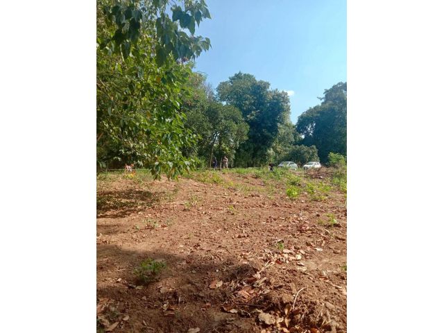 L1344 ขายที่ดินทำเลดี ถมแล้ว 119 ตรว ปากช่อง นครราชสีมา