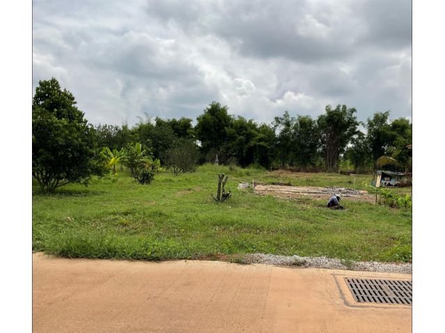 ขายที่ดินท่าตูม 261 ตรว. ติดถนนบ้านโคกไม้แดงซอย2 ใกล้ถนนสี่เลนเส้น3079-170เมตร ใกล้นิคม304-5กม. อ.ศรีมหาโพธิ ปราจีนบุรี