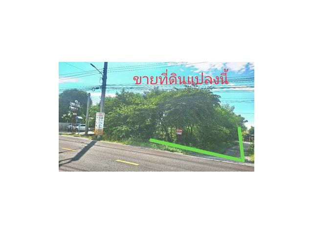 ที่ดิน ซอยร่วมใจพัฒนา ซ.1 ต.ศรีษะใหญ่ อ.บางเสาธง