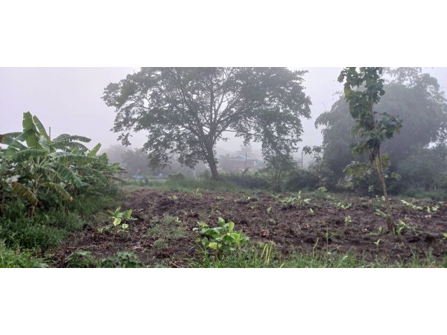 L1346 ขายที่ดินวิวภูเขา ใกล้ถนนมิตรภาพ 2 แปลง ปากช่อง นครราชสีมา