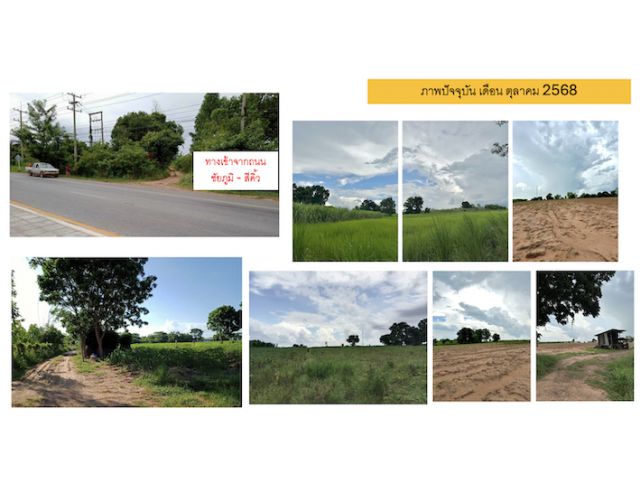 ขายที่ดิน ทั้งหมด 39 ไร่ 3 งาน (ราคาคุยได้ เจ้าของขายเอง)