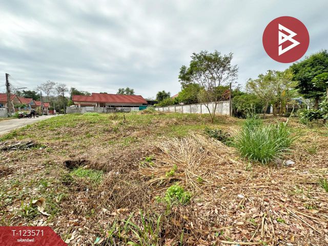 ขายที่ดิน เนื้อที่ 1 งาน 3.4 ตร.วา แสลง จันทบุรี