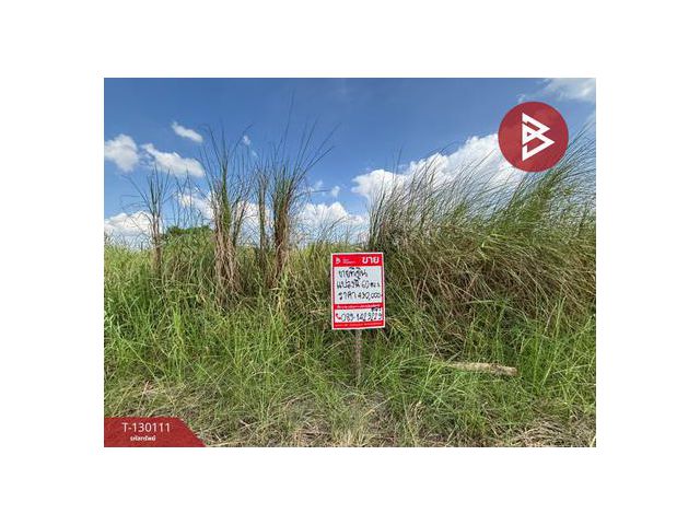 ขายที่ดิน เนื้อที่ 60 ตร.วา พนัสนิคม ชลบุรี