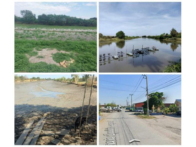 ขายด่วน! ลดกระหน่ำ ถูกสุดๆ ขายที่ดินราคาพิเศษ อ.บางเสาธง จ.สมุทรปราการ สวย ทำเลดี Tel. 092-6869618