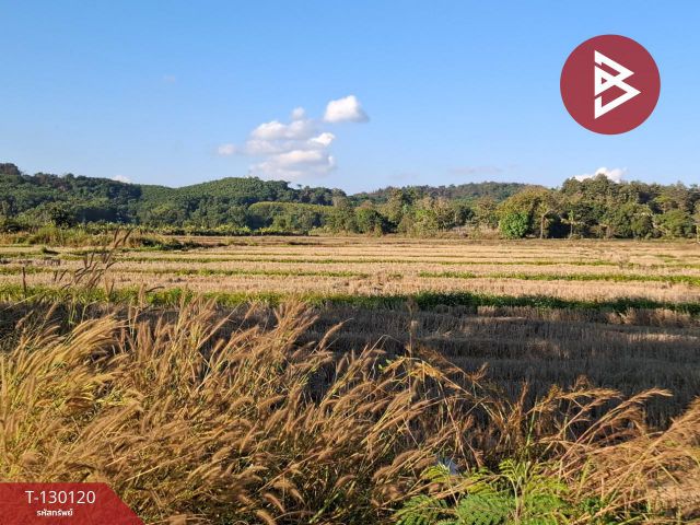 ขายที่ดินแปลงใหญ่ เนื้อที่ 10 ไร่ 1 งาน 55 ตารางวา เวียงชัย เชียงราย