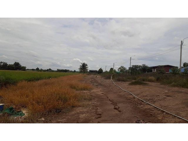 ขายที่ดิน 14 ไร่ 3 งาน 62 ตร.ว. ซอยวัดย่านวัดต้นเชือก ติดถนนหมายเลข 5027