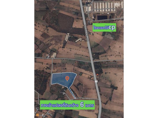 ขายที่ดินใกล้ถนนเพชรมาตุคลาตรงข้ามโรงแยกไข่ซีพีจักราช อำเภอเฉลิมพระเกียรตินครราชสีมา ขนาดที่ดิน 25-1-78 ตร.ว