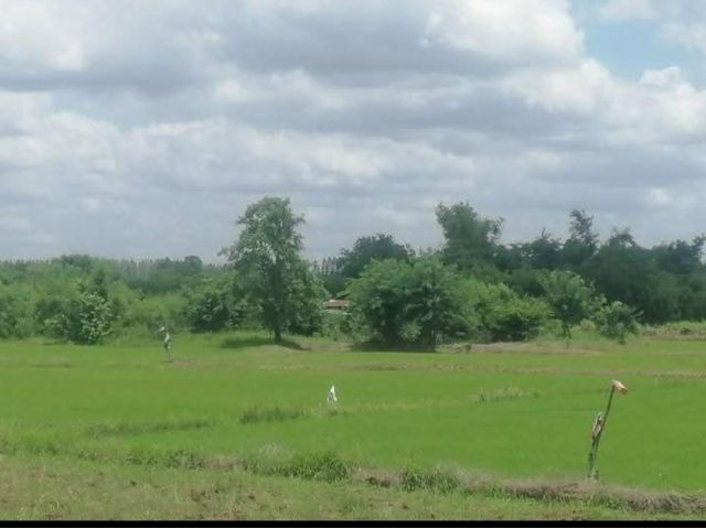 ที่นาใกล้คลอง