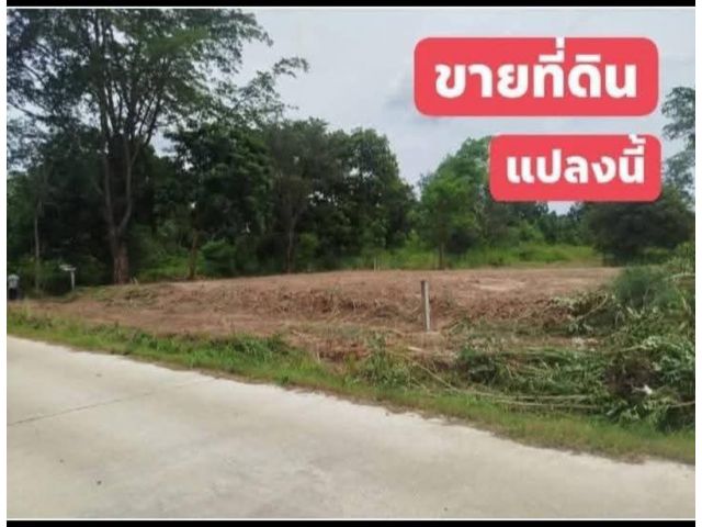 ขายที่ดิน (มทส.ประตู2) โคราช