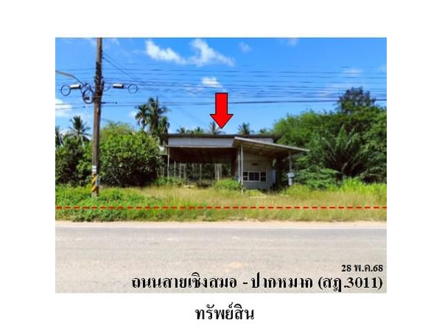 ขายบ้านเดี่ยว ต.โมถ่าย อำเภอ ไชยา จังหวัด สุราษฎร์ธานี