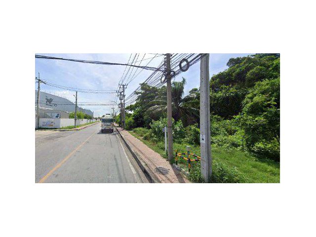 ขายที่ดิน 1 ไร่ ผังสีม่วงเข้ม ติดนิคมฯบางปู ถนนเทศบาลบางปู69 ต.แพรกษา อ.เมือง จ.สมุทรปราการ