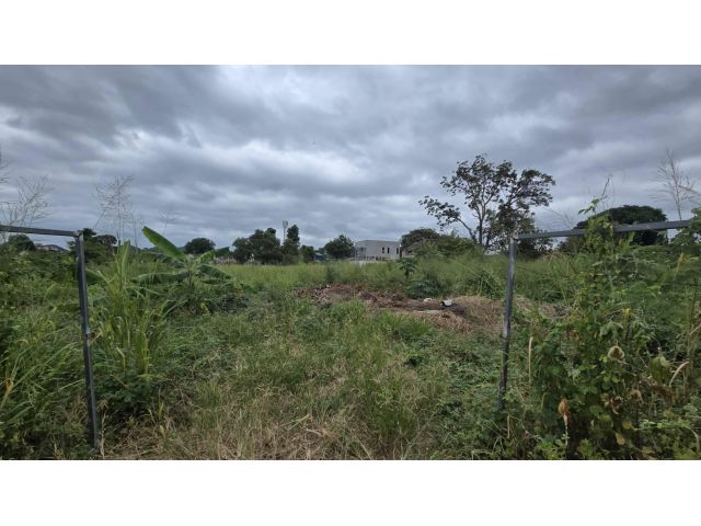 ขายที่ดินศรีราชา ชลบุรี ผังสีส้ม ใจกลางชุมชน เจ้าของขายเอง เหมาะพัฒนาโครงการทาวน์โฮม-คอนโด Low-rise