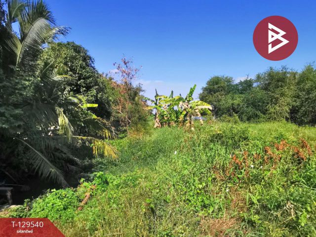 ขายที่ดิน เนื้อที่ 1 งาน บางปลาม้า สุพรรณบุรี