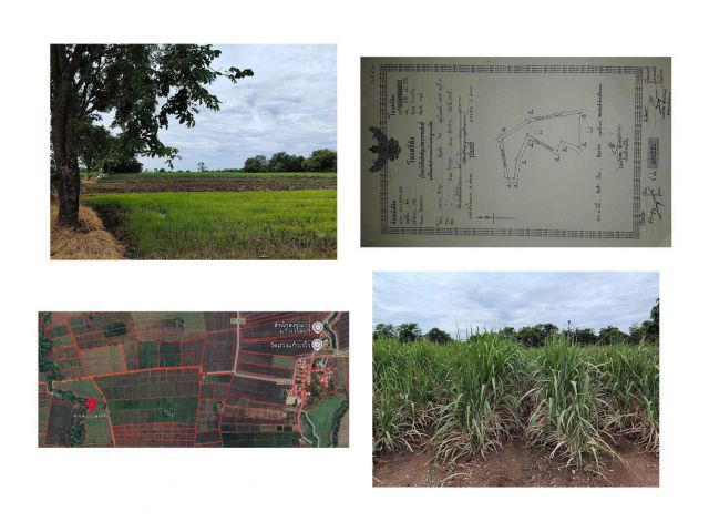 ขายที่ดินติดถนนและคลองน้ำ 25 ไร่ 3 งาน 30 ตร.วา โฉนด นส.4จ(ครุฑแดง)