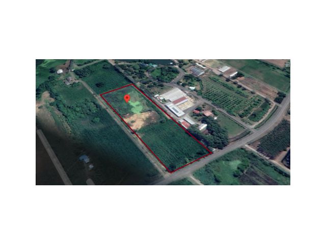 ขายที่ดินโฉนด ต.วังชมภู เขตอำเภอเมือง  เพชรบูรณ์ แถวกำนันจุลอยู่ฝั่งตรงข้าม 20ไร่ 52 ตรว.