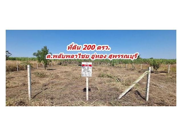 ขายที่ดิน 200 ตรว. ถมและล้อมรั้ว ราคาถูก ต.พลับพลาไชย อ.อู่ทอง จ.สุพรรณบุรี คุณนก0892049369