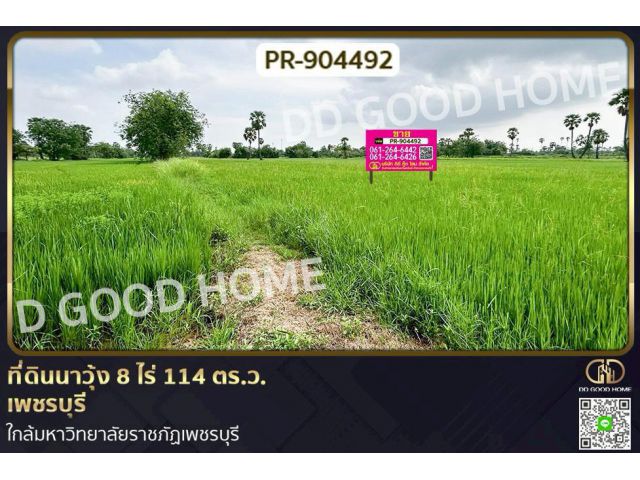 WR-904492 ที่ดินนาวุ้ง 8 ไร่ 114 ตร.ว. เพชรบุรี ใกล้มหาวิทยาลัยราชภัฏเพชรบุรี