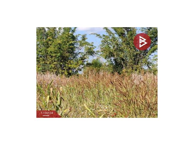 ขายที่ดิน เนื้อที่ 1 ไร่ 3 งาน 13 ตารางวา อ.แม่ลาว เชียงราย