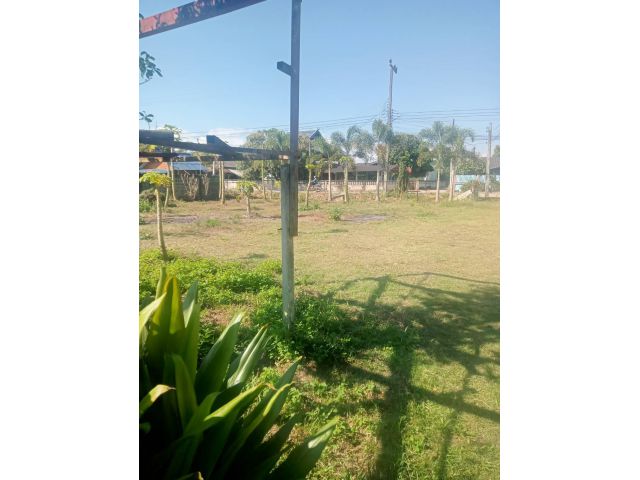 ขายที่ดินสันทราย 110 ตรว.สวยมากทำเลดีบรรยากาศดี ติดถนนน้ำไฟถึง ปลูกบ้านสวยได้เลย เดินทางสะดวกน้ำไม่ท่วมราคาถูก