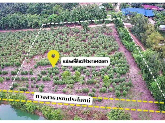 ขายที่ดินเมืองสระแก้ว 3 ไร่ หลังTOYOTAสระแก้ว ใกล้ถนนสุวรรณศร33-800เมตร จ.สระแก้ว