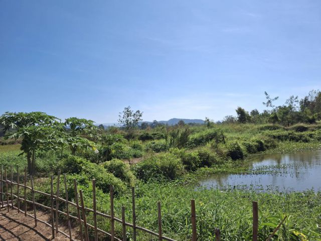 ขายด่วน!!!!! ที่ดินแปลงเล็กโฉนด 1-3-91 ไร่ ติดน้ำ วิวภูเขาล้อมรอบที่ ต.ชำผักแพว อ.แก่งคอย จ.สระบุรี ไร่ละ 500,000.-