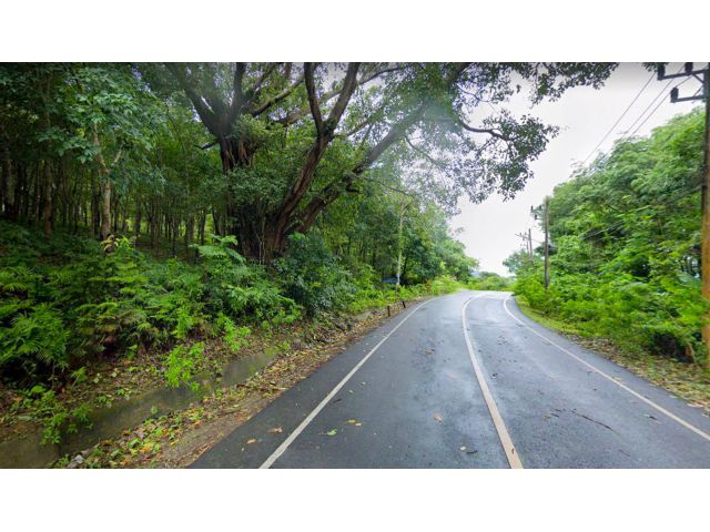 ขายที่ดิน 42 ไร่ ติดทาซานอเวนเจอร์ ถ.อ่าวยน-เขาขาด ต.วิชิต อ.เมืองภูเก็ต จ.ภูเก็ต