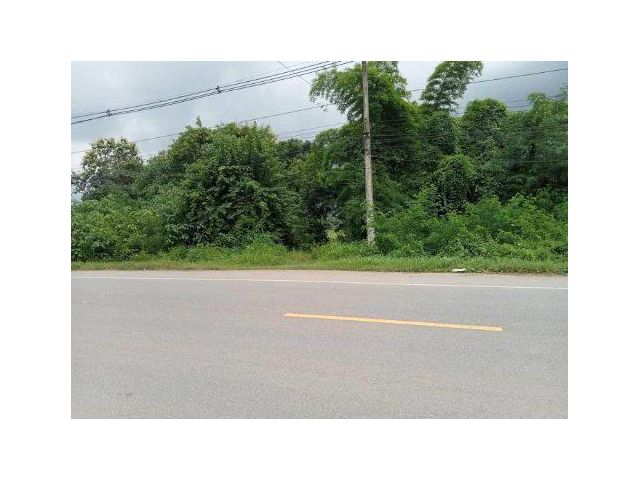 ขายที่ดิน 16 ไร่ ถนน 2372 ต.วังบาล อ.หล่มเก่า จ.เพชรบูรณ์