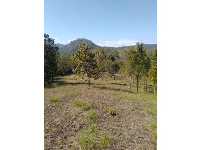 ขายที่ดินแม่ออน รีสอร์ทเดิมพร้อมบ้าน 3 หลัง บรรยากาศดี ติดถนนน้ำไฟถึง ขายถูก น้ำไม่ท่วม